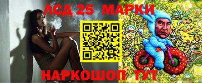 ALPHA PVP Гатчина